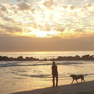 Meet your Posher, Geary